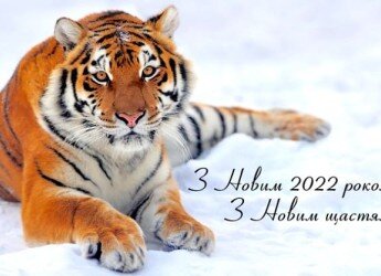 З Новим 2022 роком!